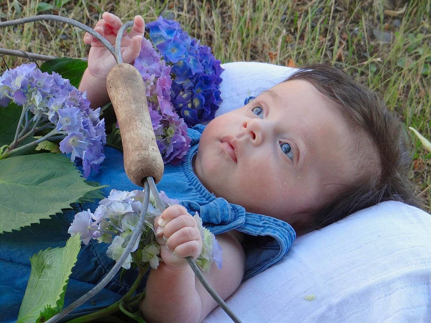 Ella a rejoint le concours — aidez-le/la à gagner de superbes lots ! annual_plant, bouquet, child, cut_flowers, electric_blue, floral_design, flower, flower_arranging, flowering_plant, garden, grass, happy, iris, people_in_nature, person, petal, plant, shrub, spring, toddler