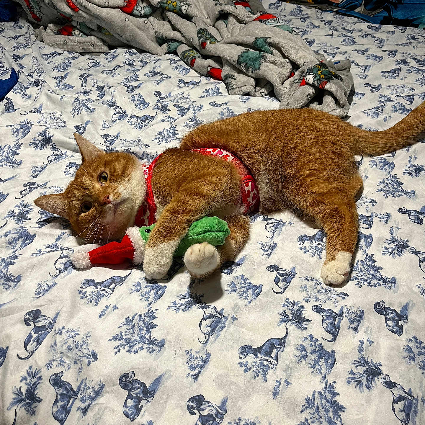 Toby