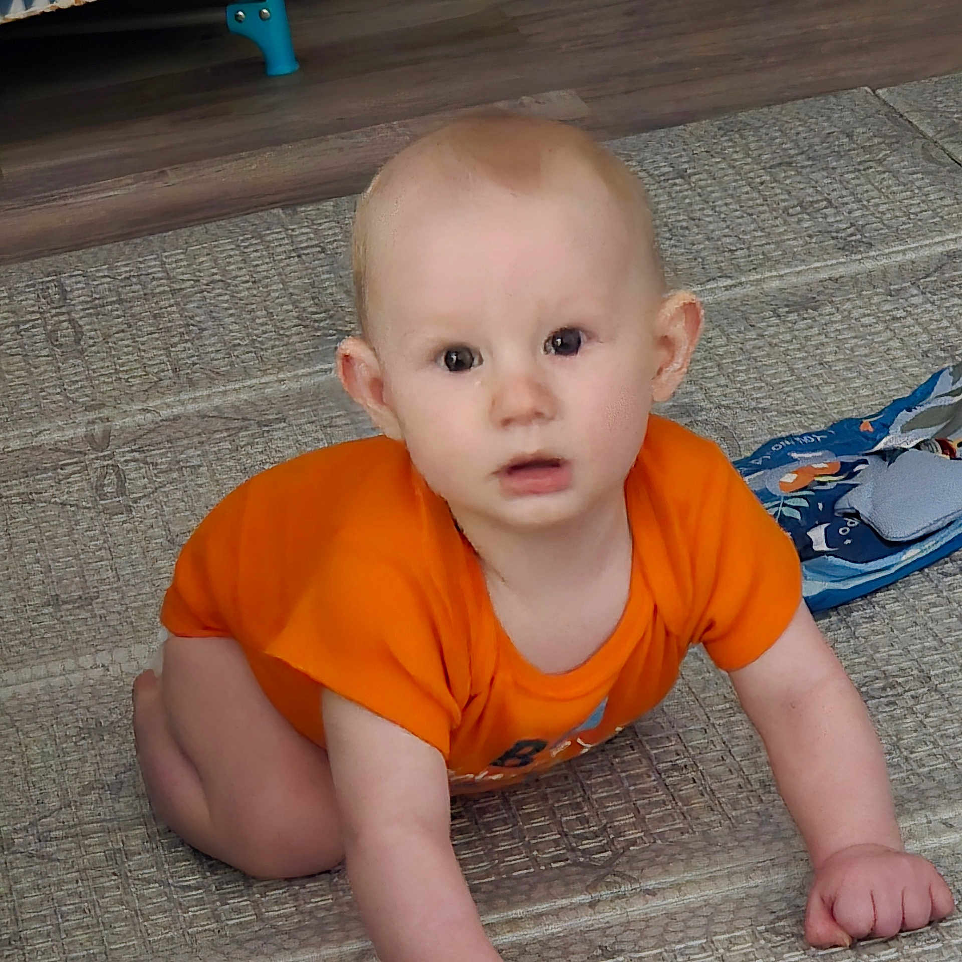 Isaiah joined the competition — help win amazing prizes! baby, child, infant, sitting, orange_clothing, portrait, face, eyes, curious, indoors, rug, carpet, floor, toy, blanket, home, living_room, crawling, photography, safe