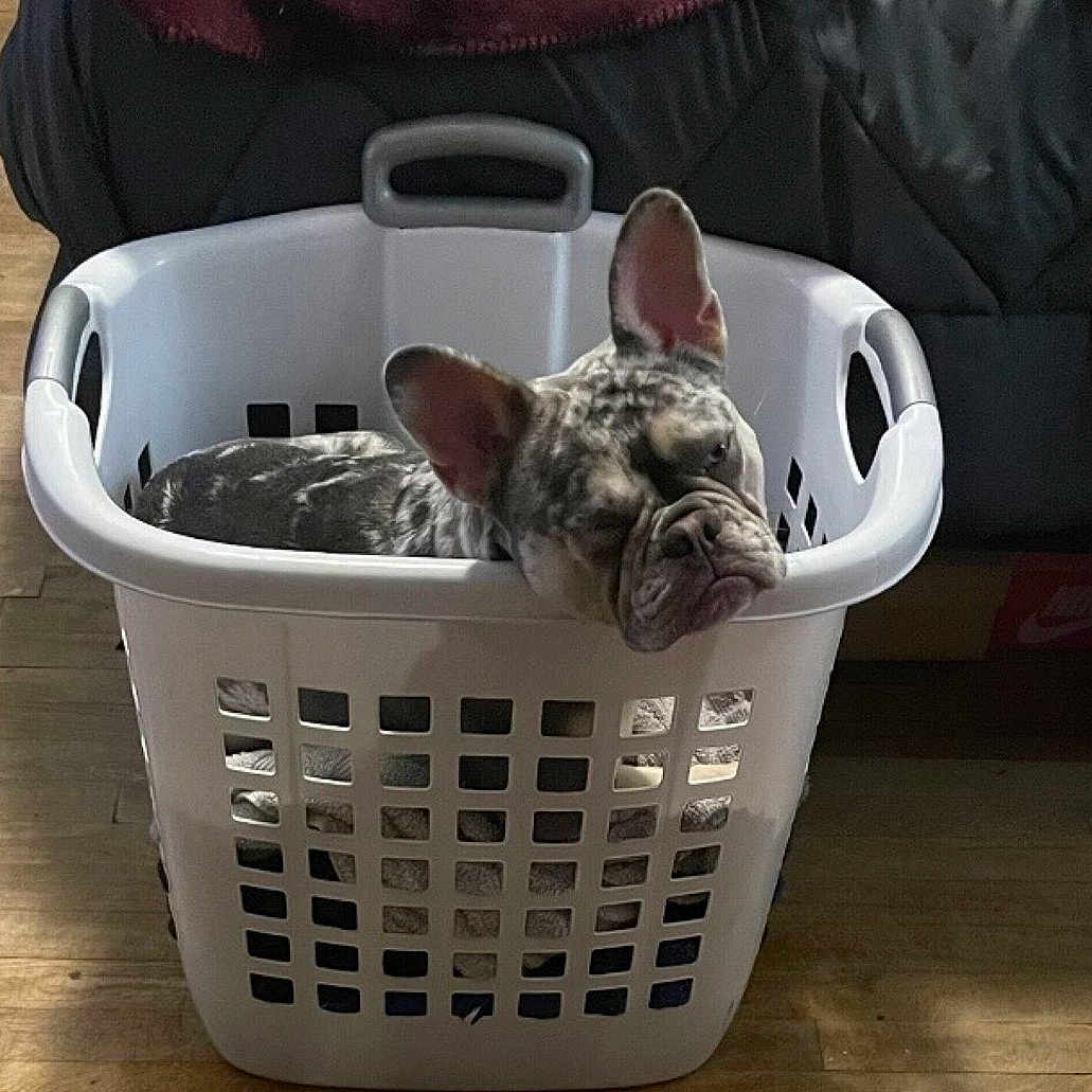 Tank