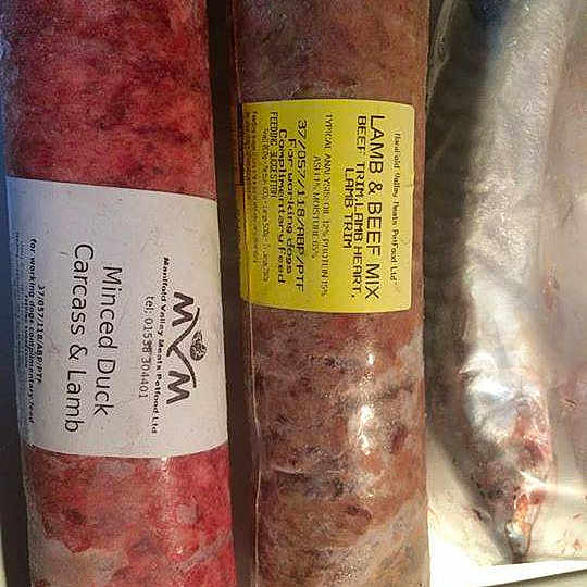 Pheobe joined the competition — help win amazing prizes!