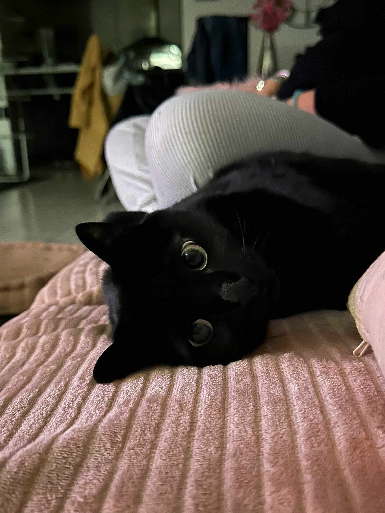 Onyx