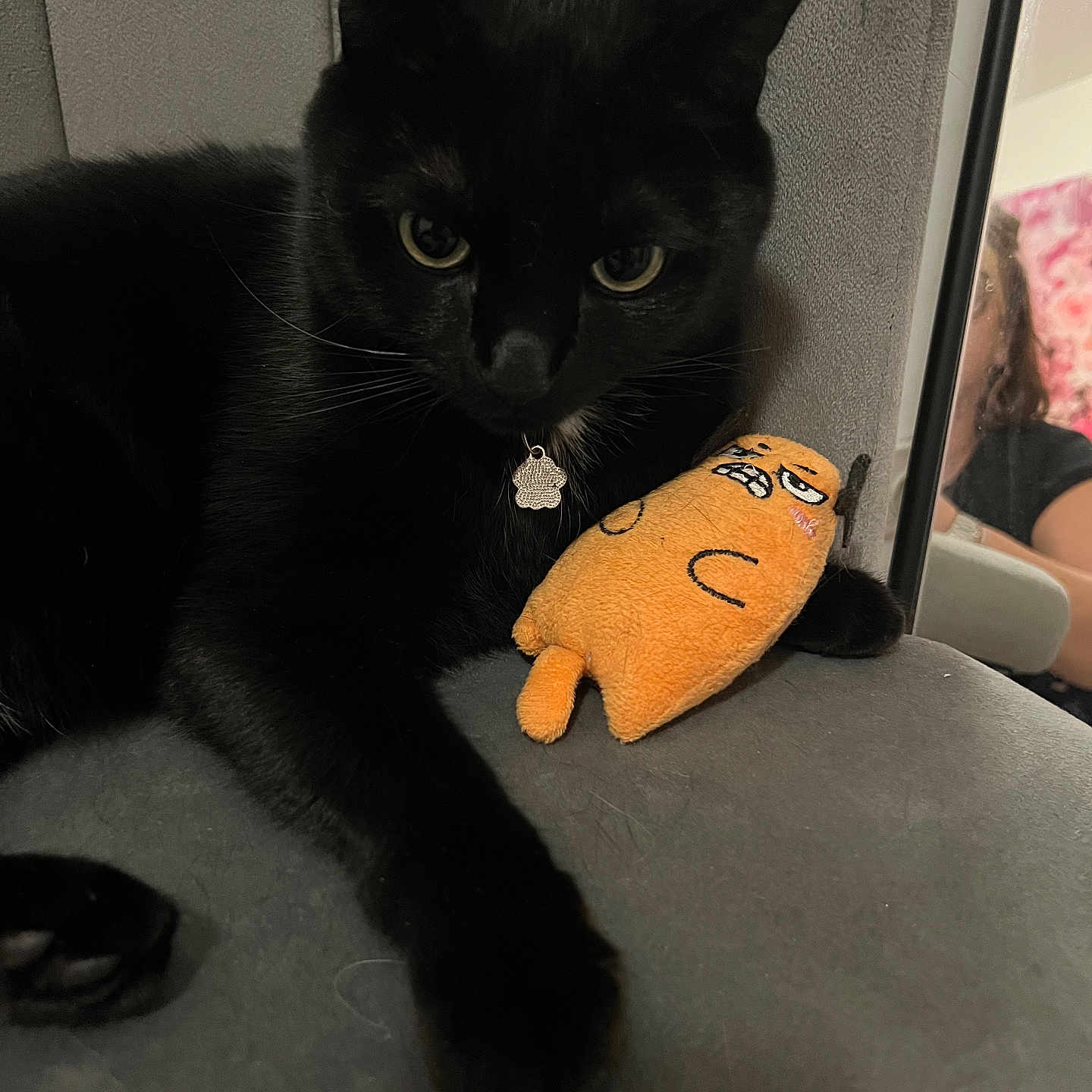 Onyx a rejoint le concours — aidez-le/la à gagner de superbes lots ! animal, black_cat, cat, chair, closeup, collar, floral_pattern, fur, gray_furniture, indoor, mirror, orange_toy, paw, person, pet, plush_toy, reflection, relaxed, tag, whiskers