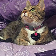 Aspen is registered to the contest to win money with this photo: