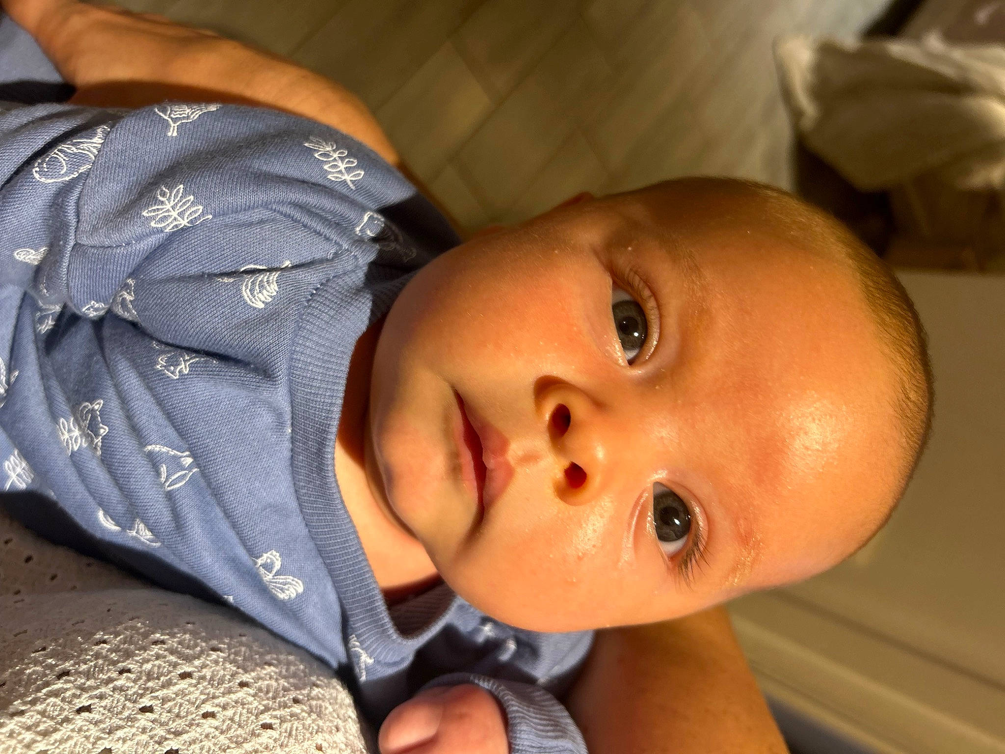 Leandro a rejoint le concours — aidez-le/la à gagner de superbes lots ! baby, baby_products, baby_toddler_clothing, cheek, chest, child, comfort, ear, eyelash, happy, lip, mouth, nose, person, plant, portrait_photography, skin, smile, toddler