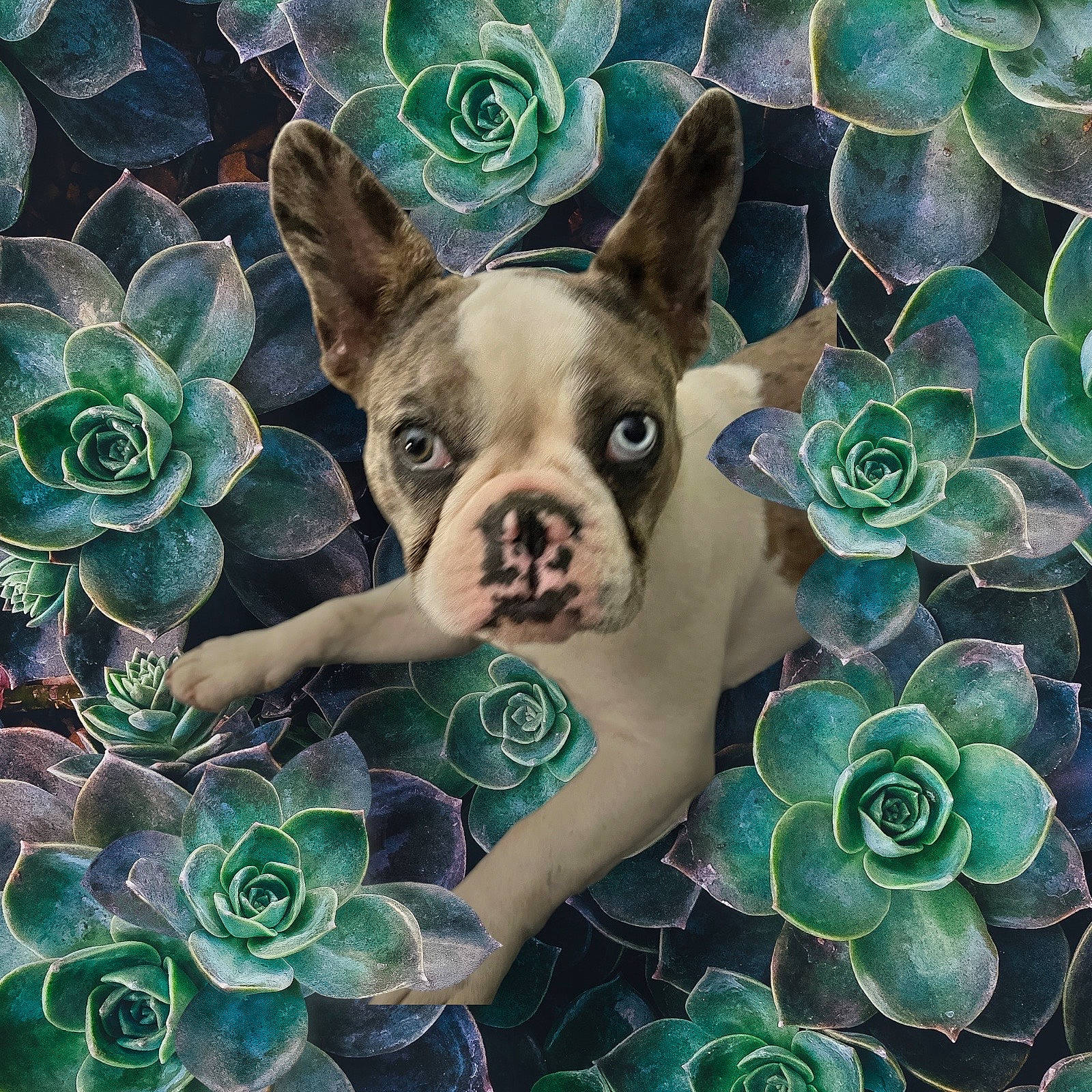 Ladybug is registered to the contest to win money with this photo: aqua, art, blue, botany, cool, creative_arts, electric_blue, fawn, flower, flowering_plant, font, green, illustration, leaf, nature, organism, pattern, petal, plant, working_animal