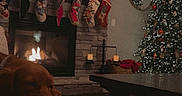 Reba is registered to the contest to win money with this photo: dog, blanket, fireplace, stockings, christmas_tree, christmas_lights, decorations, television, living_room, holiday, cozy, home, furniture, table, mirror, candle, basket, floor, warm_light, sleeping_dog