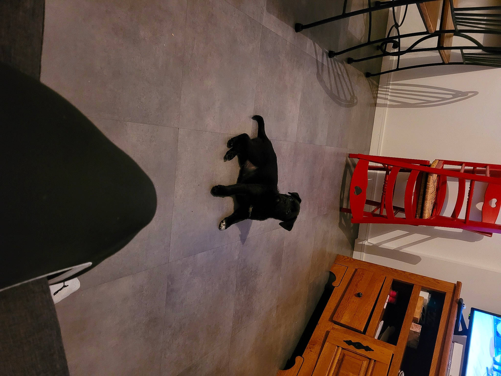 Twix participe au concours pour gagner de l'argent avec cette photo : art, ceiling, concrete, daylighting, floor, flooring, font, glass, grey, handrail, hardwood, metal, plaster, recreation, room, shadow, space, visual_arts, wall, wood