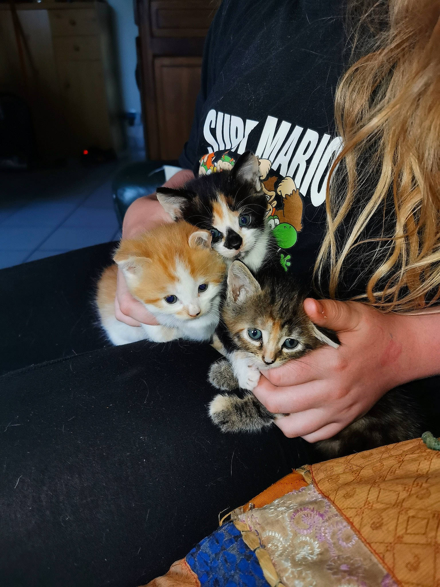 Zouzou Et Saphire Et Nugget