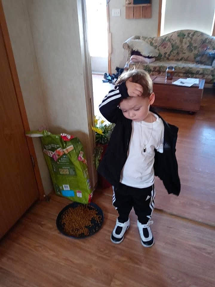 Isaiah joined the competition — help win amazing prizes! bag, ball, basket, child, comfort, couch, floor, flooring, fun, fur, hardwood, laminate_flooring, mammal, person, room, sneakers, t_shirt, toddler, wood, wood_flooring