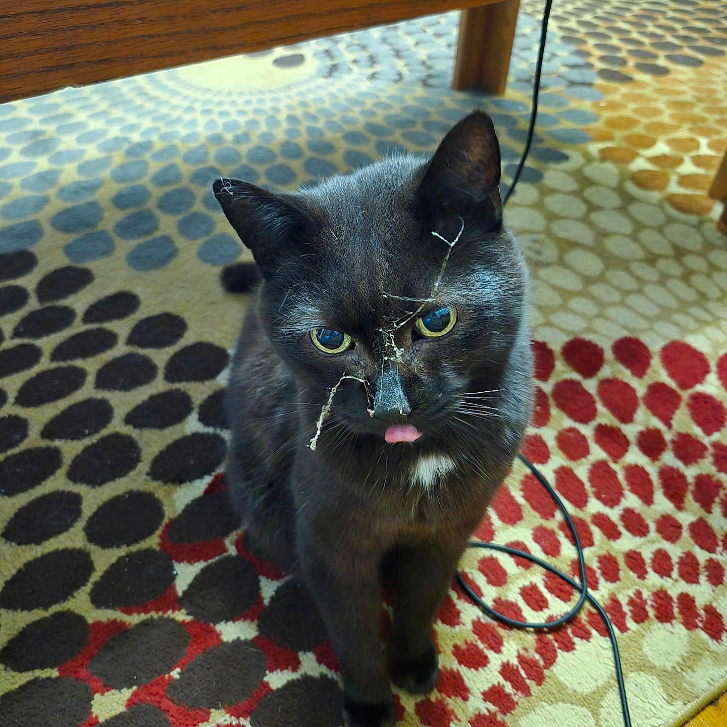 Soot
