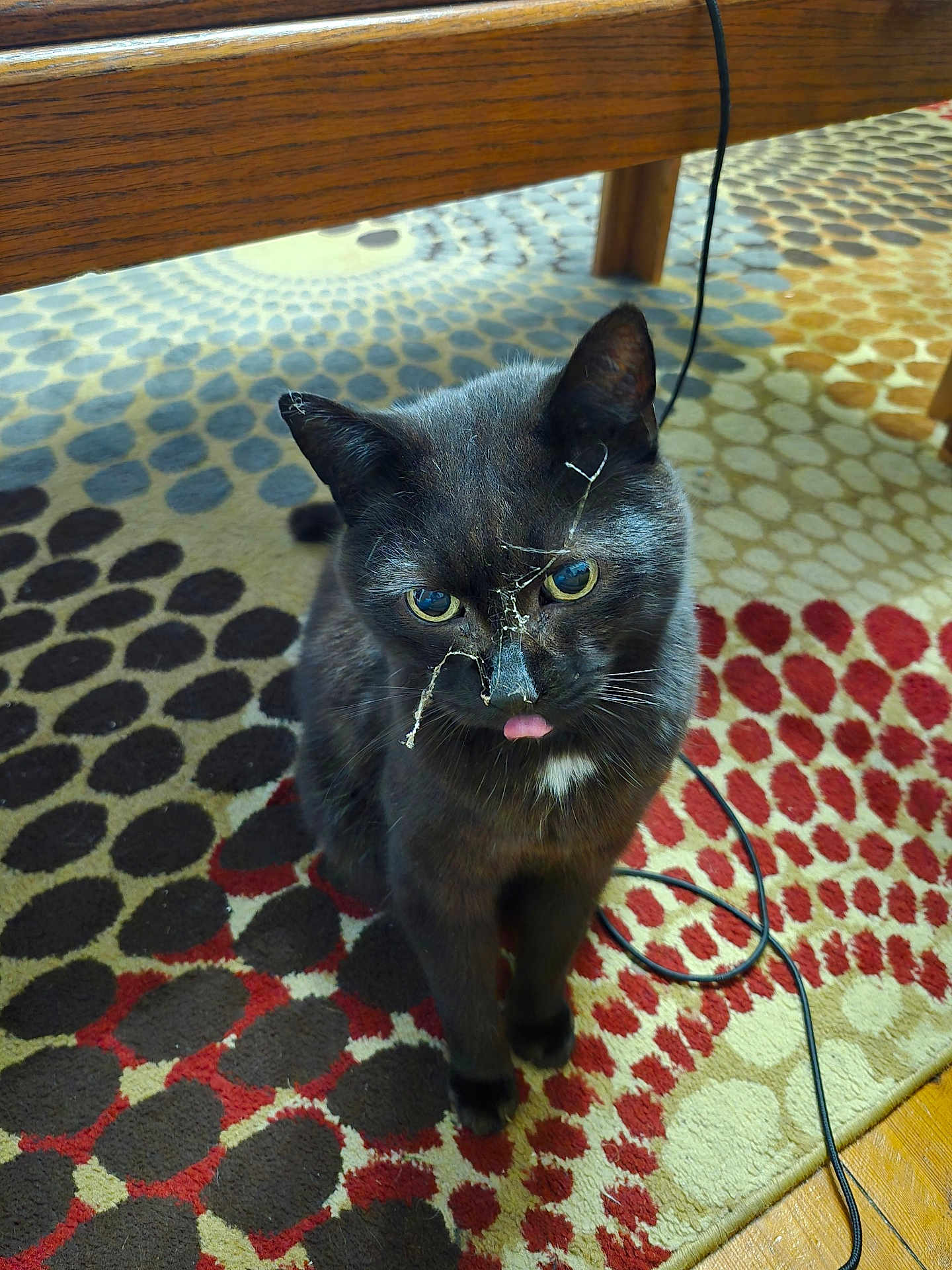 Soot