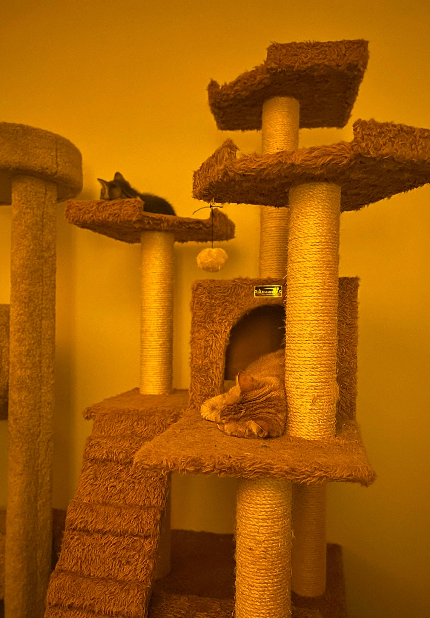 Ghost is registered to the contest to win money with this photo: art, artifact, balance, carving, column, creative_arts, cross, crucifix, font, rectangle, religious_item, room, still_life_photography, symbol, tints_and_shades, wood