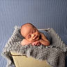baby, basket, blanket, blue, child, cozy, cute, gray, infant, knit, newborn, peaceful, portrait, resting, sleeping, smiling, soft, studio, texture, wrapped