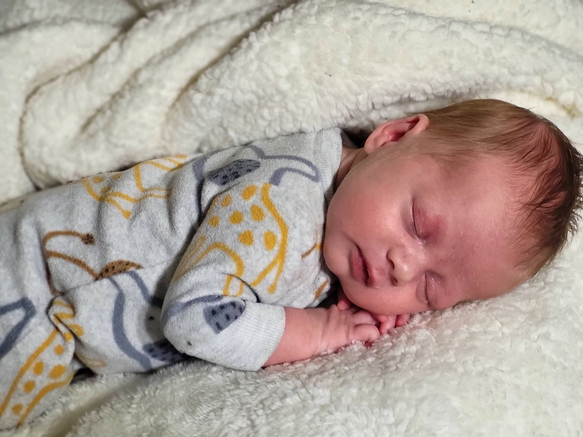 Dylan joined the competition — help win amazing prizes! baby, baby_sleeping, baby_toddler_clothing, bedding, bedtime, cheek, child, comfort, eye, fur, grass, head, iris, linens, nap, person, portrait_photography, sitting, skin, sleeve