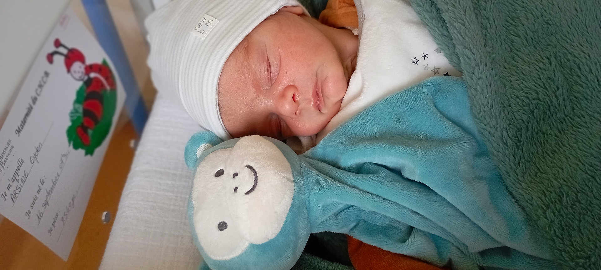 Eyden a rejoint le concours — aidez-le/la à gagner de superbes lots ! newborn, baby, sleeping, hat, blanket, plush_toy, monkey, hospital, crib, name_tag, soft_toy, cozy, infant, bed, cute, peaceful, child, resting, wearing, wrapped
