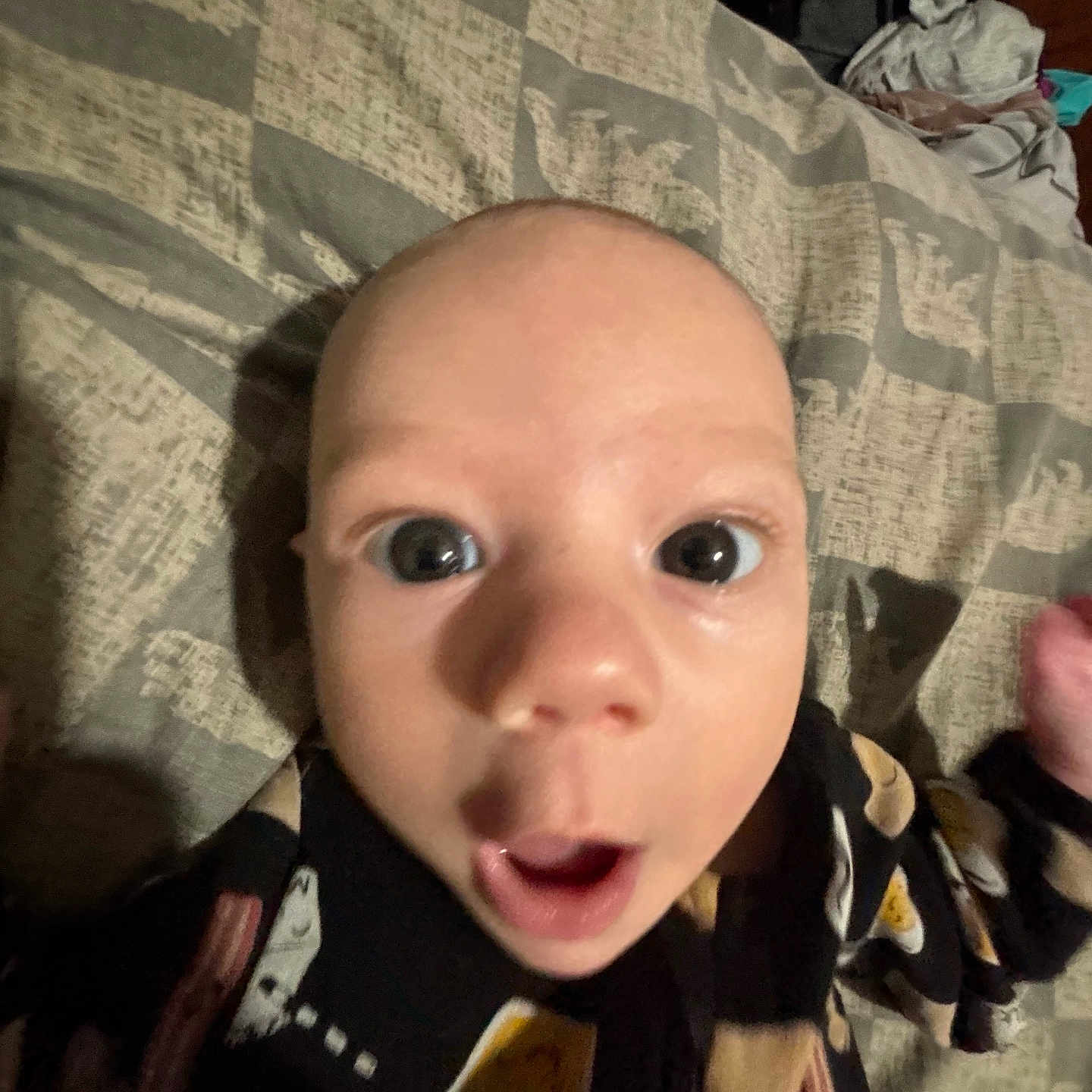 Everett is registered to the contest to win money with this photo: baby, bed, bedroom, bodypart, clothing, coat, couch, cushion, face, finger, furniture, hand, head, homedecor, indoors, person, photography, portrait, quilt, selfie