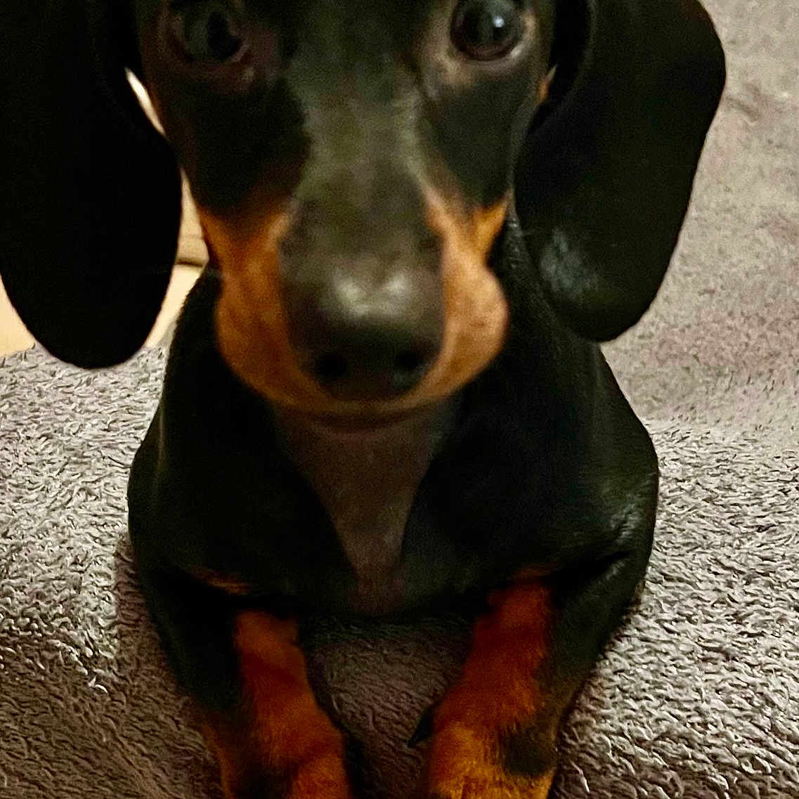 Lola