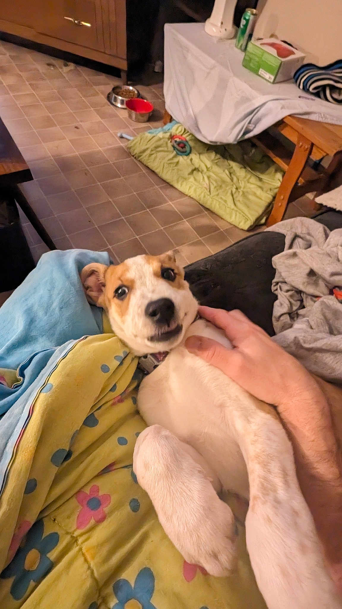 Maggie