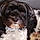 Milou