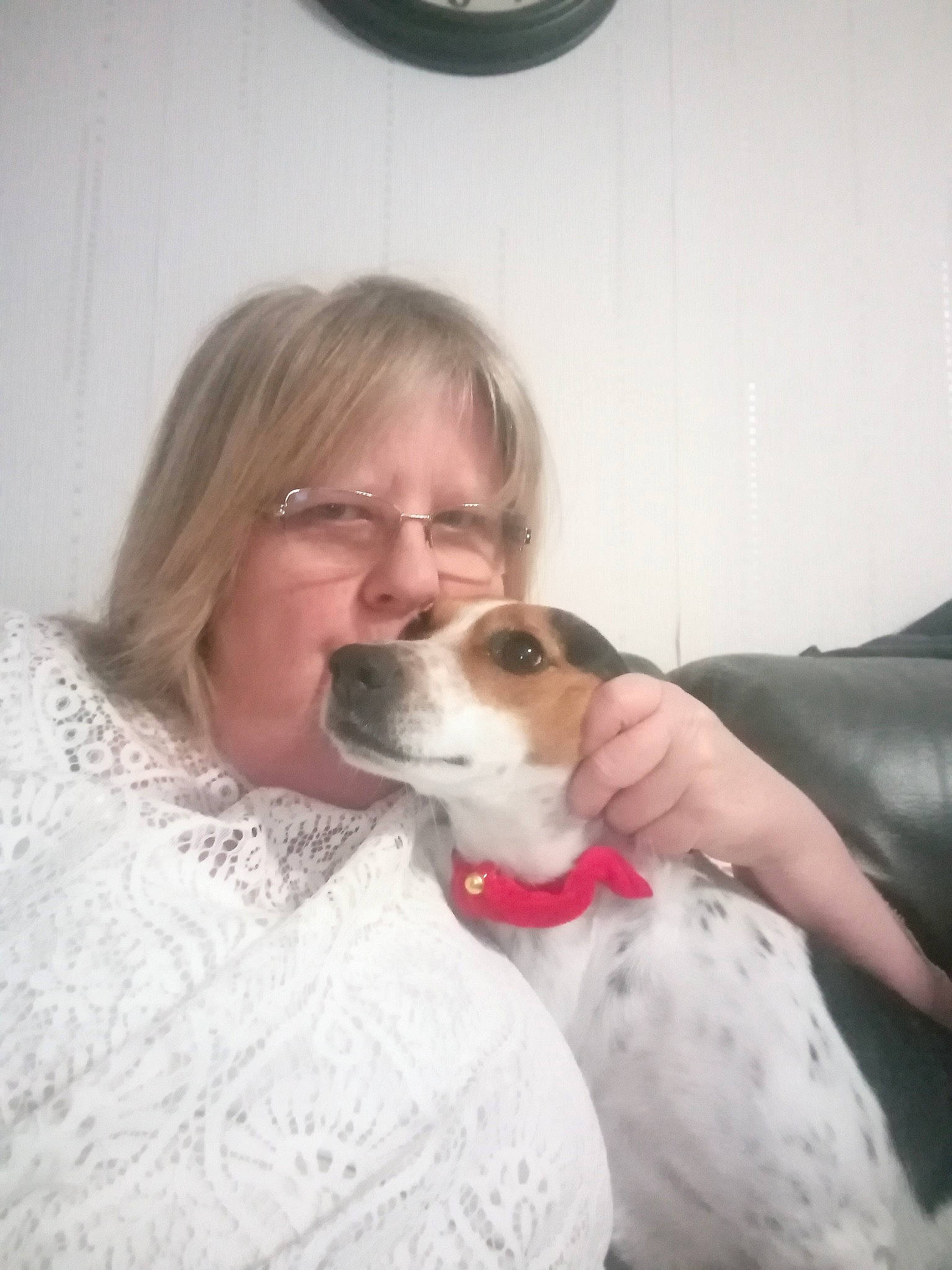 Lookie participe au concours pour gagner de l'argent avec cette photo : canidae, carnivore, companion_dog, danish_swedish_farmdog, dog, dog_breed, japanese_terrier, nose, puppy_love, russell_terrier