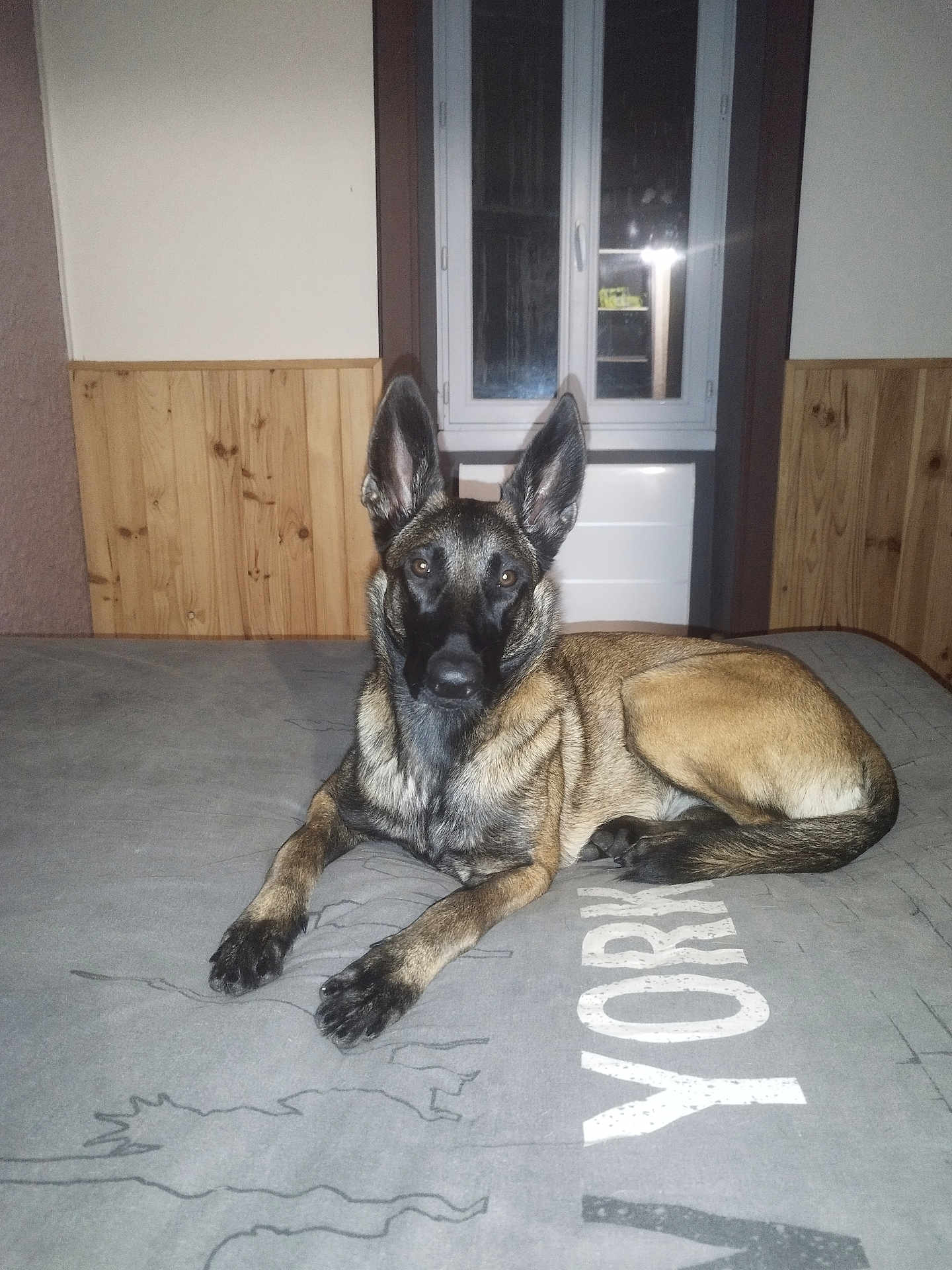 Xena