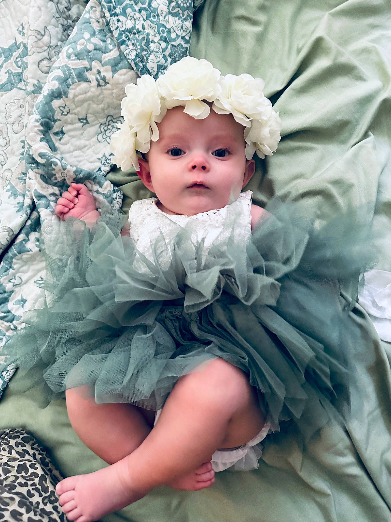 Tatum joined the competition — help win amazing prizes! baby, baby_toddler_clothing, cheek, child, dress, embellishment, eye, fashion_accessory, flash_photography, grass, hair_accessory, happy, headband, headpiece, headwear, iris, person, petal, pink, plant