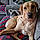 Roxy