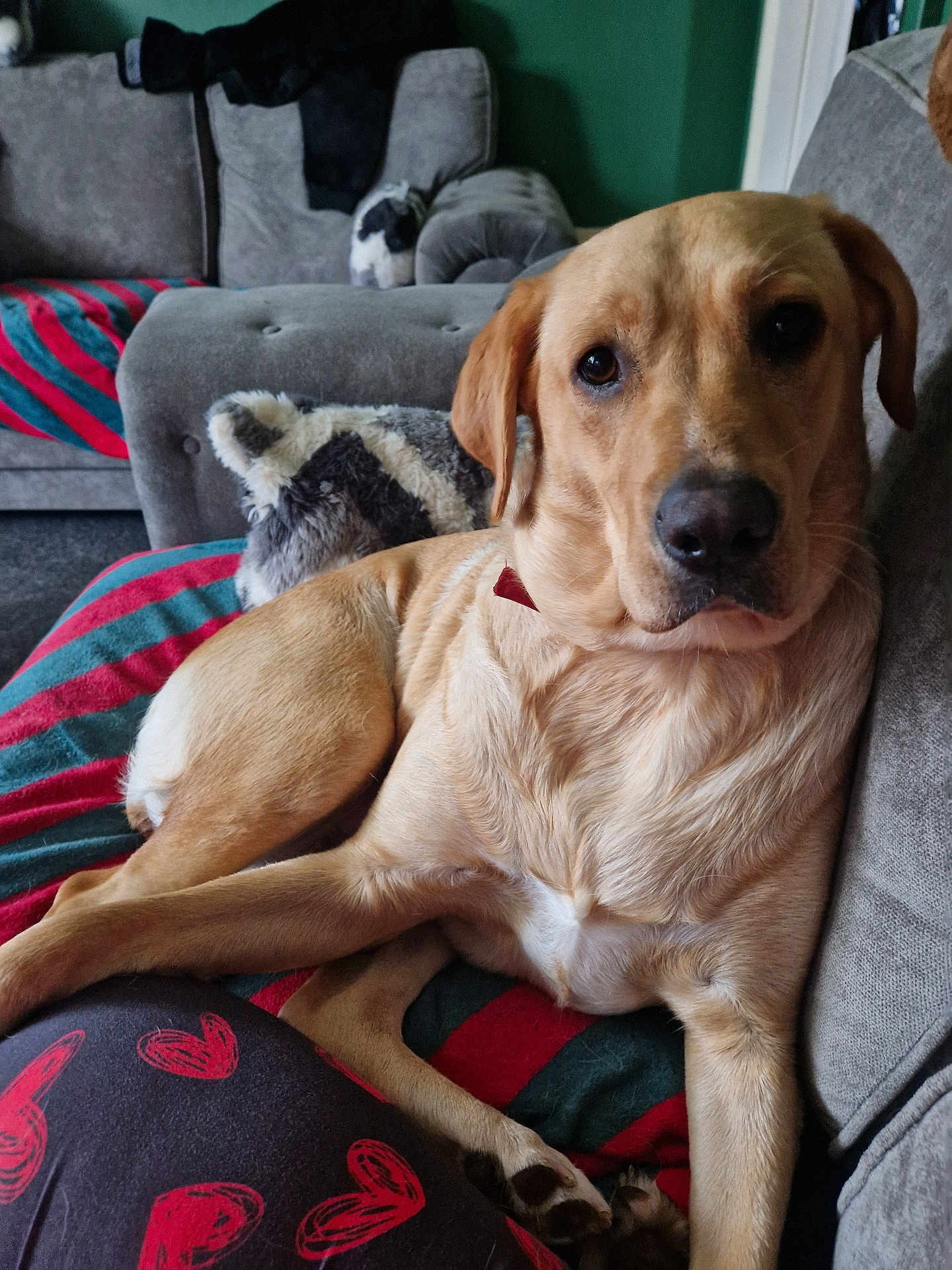 Roxy