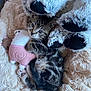 animal, blanket, cat, comfort, cozy, cute, fluffy, fur, indoor, kitten, paws, pet, plush_toy, relaxation, resting, sleeping, soft, stuffed_animal, tabby, young