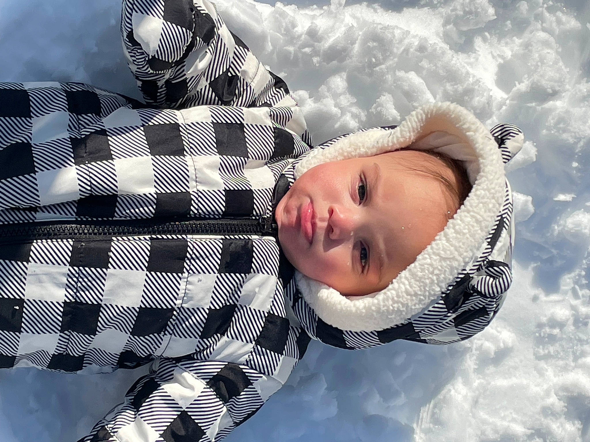Jersey joined the competition — help win amazing prizes! baby, child, cloud, comfort, flash_photography, freezing, fun, gesture, happy, headwear, leisure, pattern, people_in_nature, person, plaid, sky, snow, textile, toddler, tree