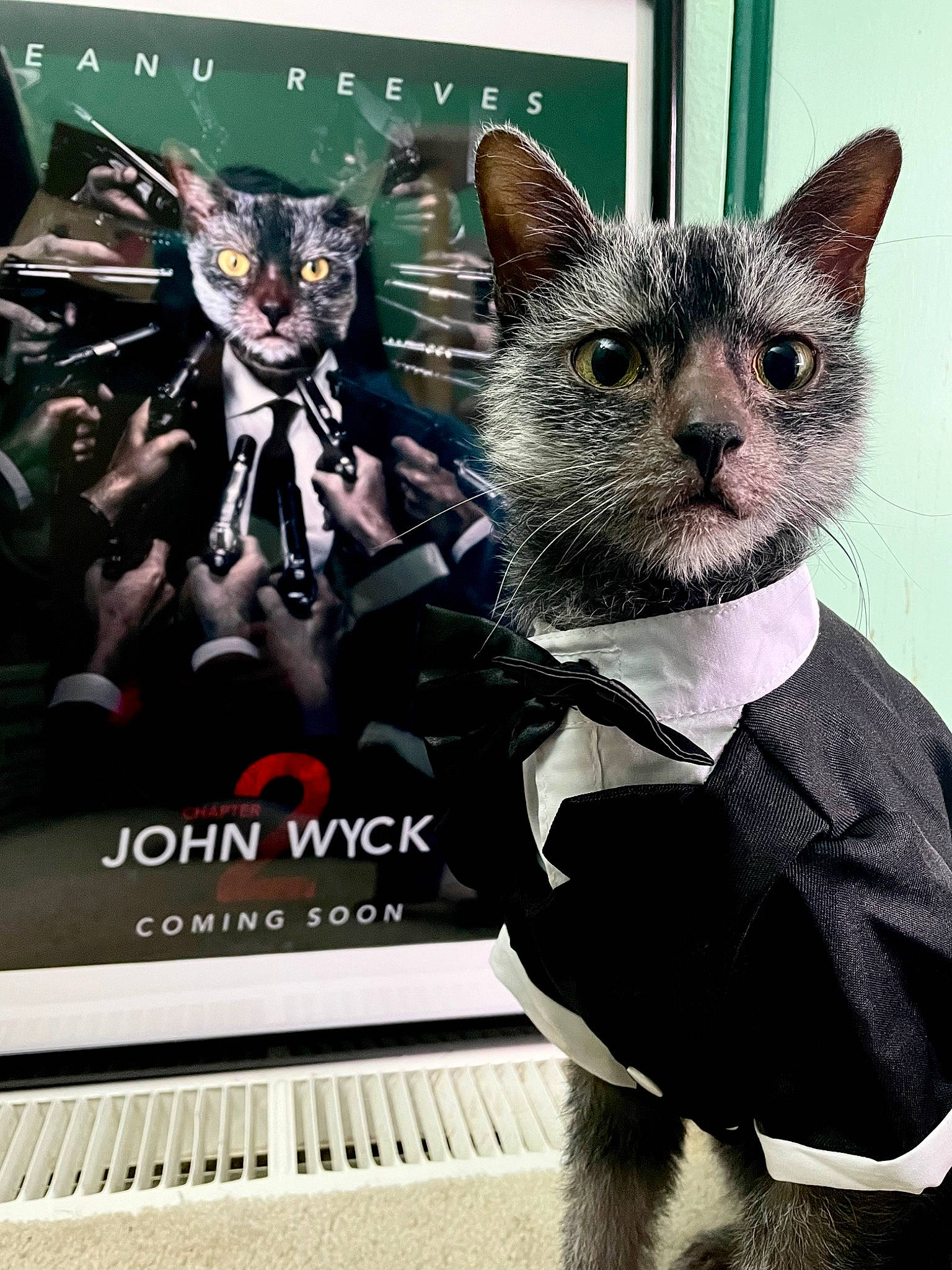 Wyck is registered to the contest to win money with this photo: art, bow_tie, carmine, carnivore, cat, domestic_short_haired_cat, electronic_musical_instrument, felidae, fictional_character, fur, keyboard, musical_instrument, musical_keyboard, pattern, photo_caption, publication, small_to_medium_sized_cats, snout, tie, whiskers