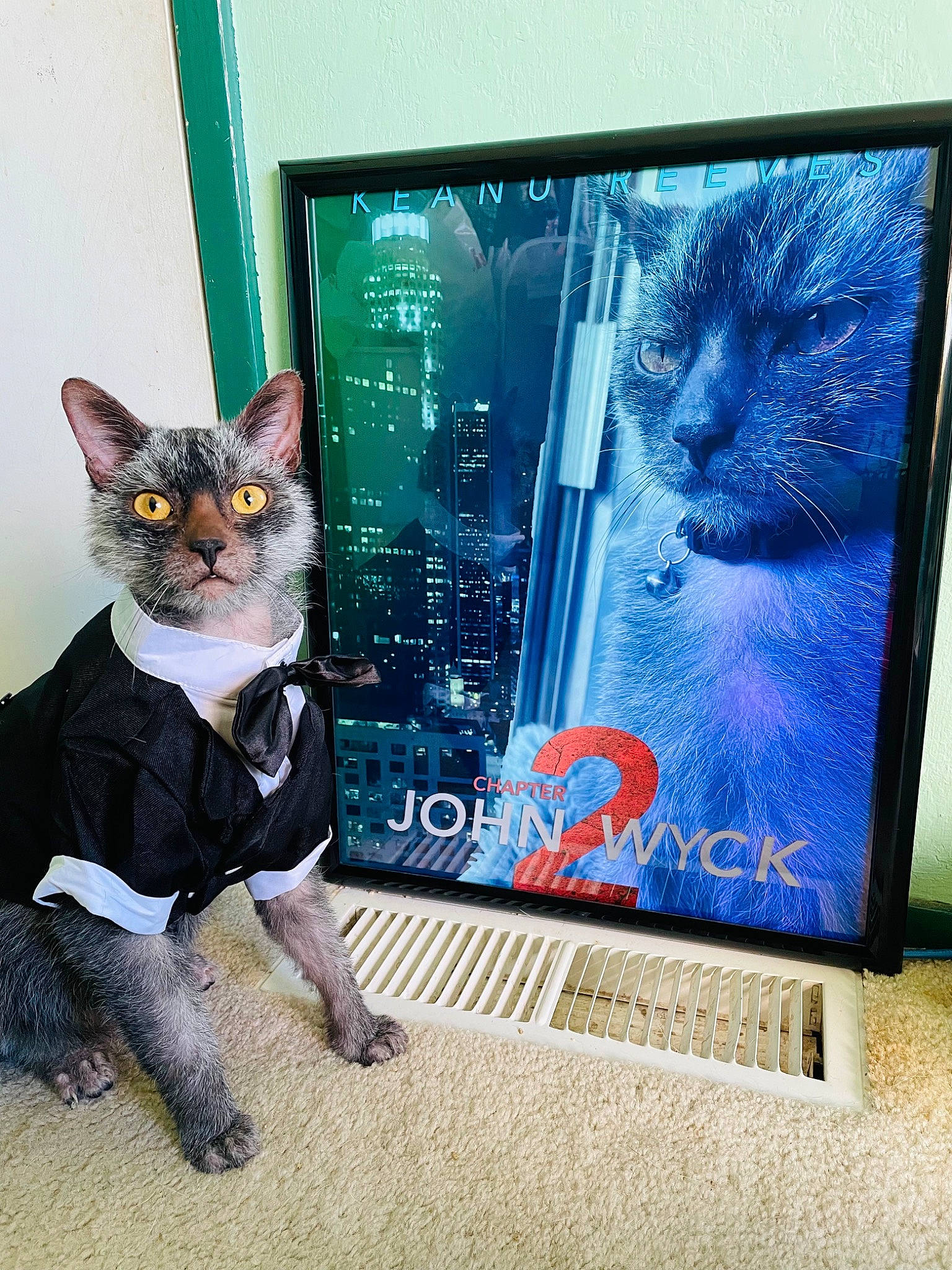 Wyck is registered to the contest to win money with this photo: art, carnivore, cat, display_device, domestic_short_haired_cat, electronic_device, felidae, flat_panel_display, led_backlit_lcd_display, mammal, output_device, painting, picture_frame, rectangle, small_to_medium_sized_cats, tail, television_set, vertebrate, visual_arts, whiskers