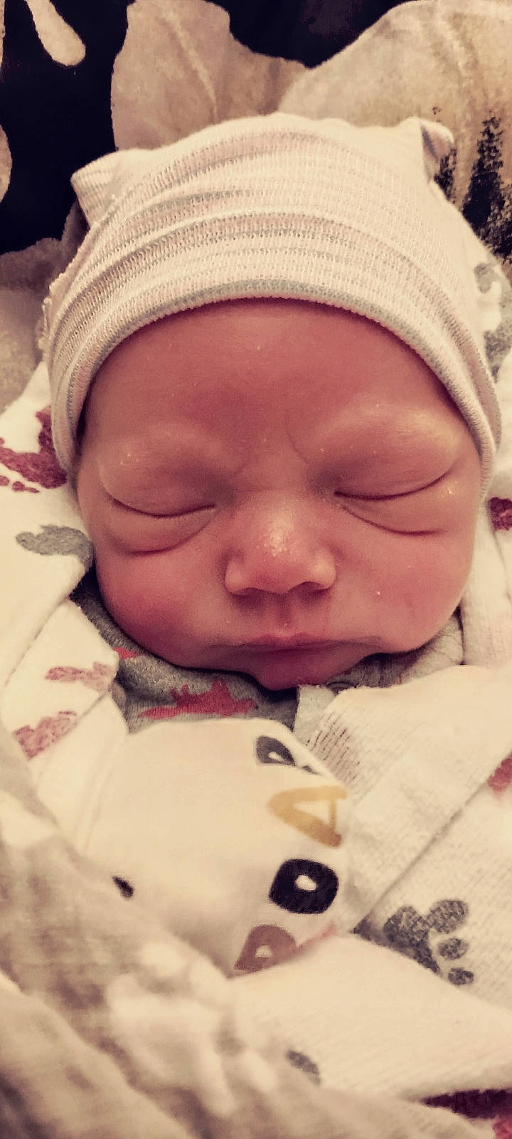 Bret is registered to the contest to win money with this photo: baby, baby_sleeping, baby_toddler_clothing, cap, cheek, chin, comfort, eye, eyebrow, finger, happy, head, headwear, lip, mouth, nose, person, pink, skin, smile