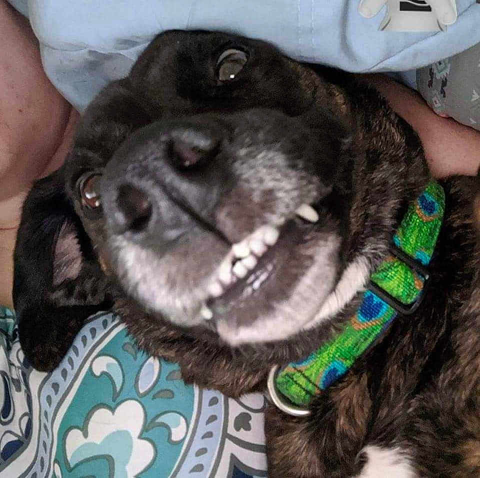 Gabby