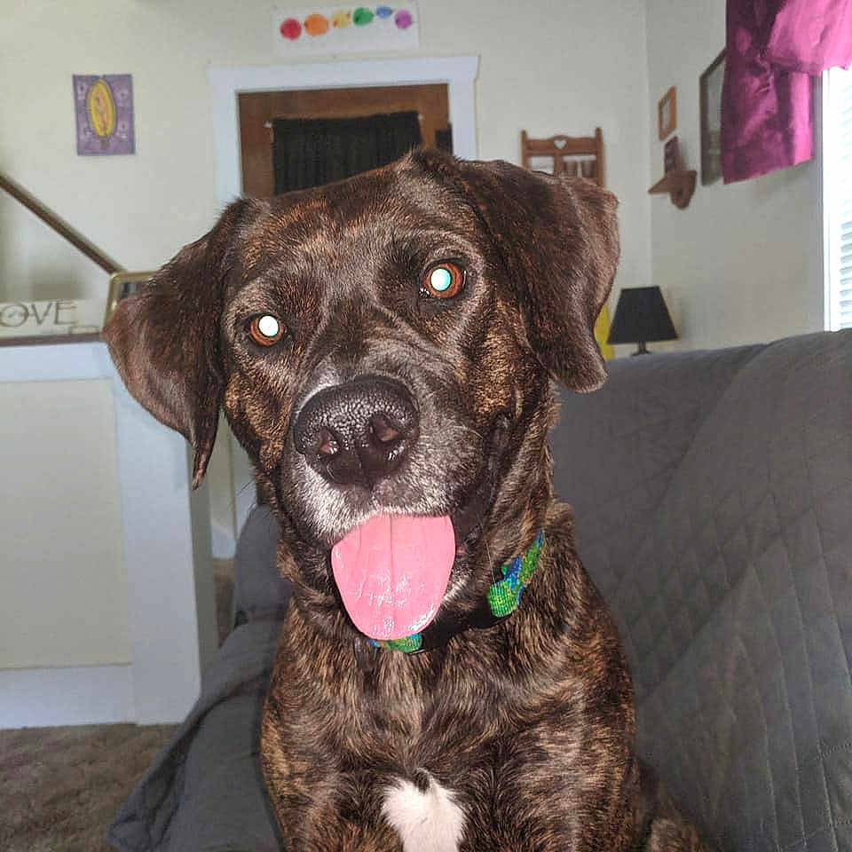 Gabby