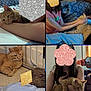 cat, orange_tabby, indoor, bed, couch, person, child, girl, boy, pet, feline, holding, resting, blanket, floor, home, comfort, cozy, affection, casual