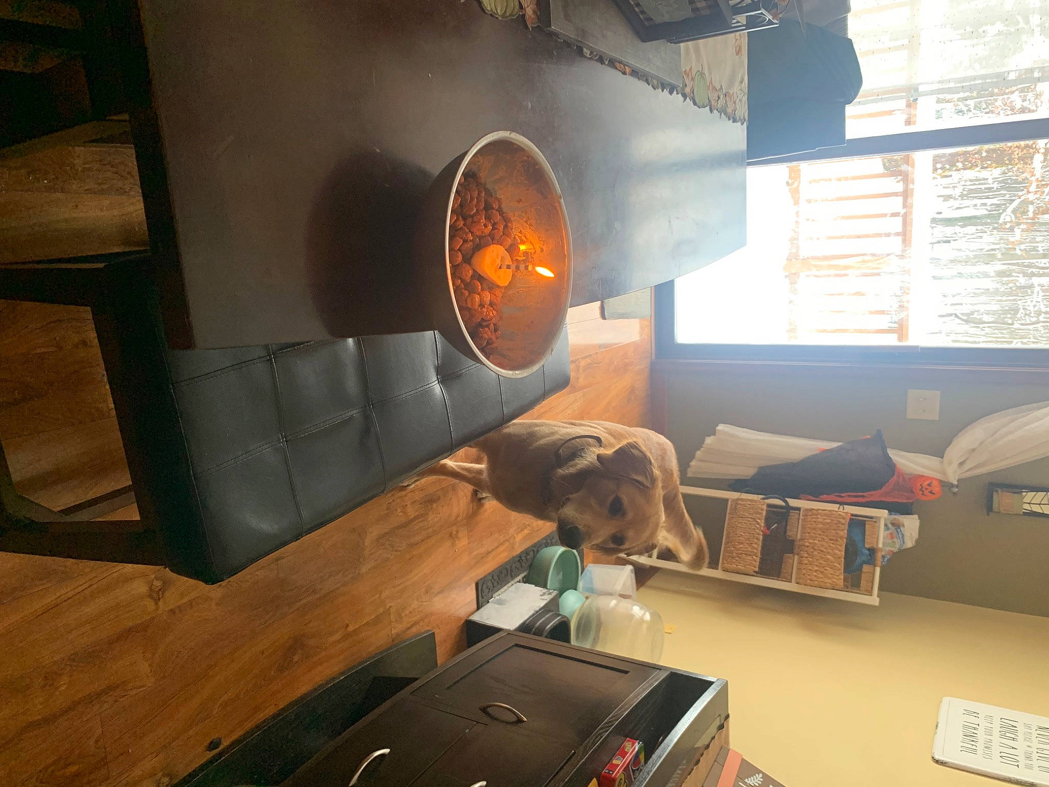 Sig joined the competition — help win amazing prizes! aircraft, audio_equipment, building, ceiling, circle, comfort, couch, flooring, hardwood, heat, home_appliance, light_fixture, living_room, mechanical_fan, picture_frame, room, studio_couch, television, window, wood