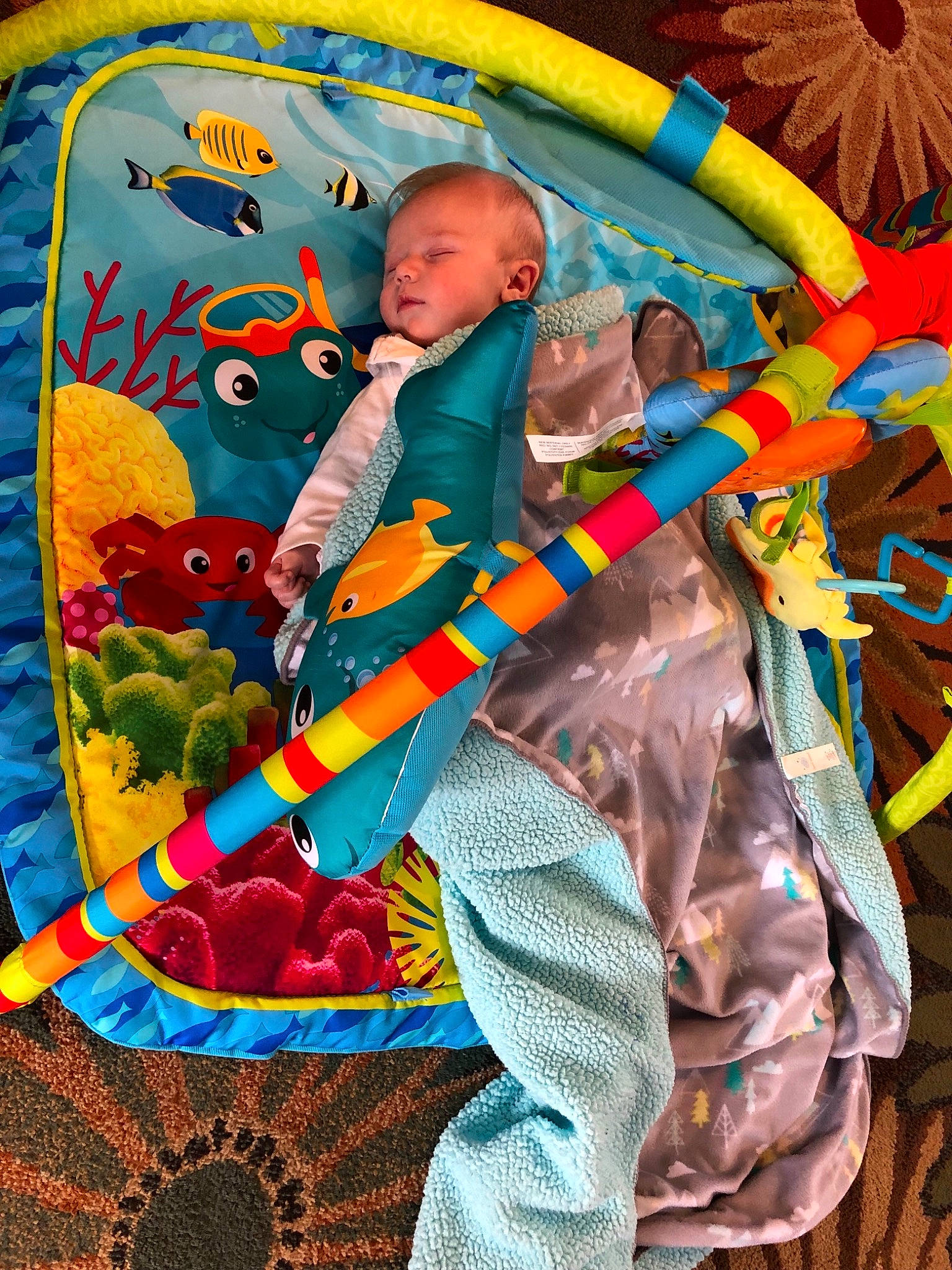 Caden joined the competition — help win amazing prizes! child, fun, person, play, textile, toy