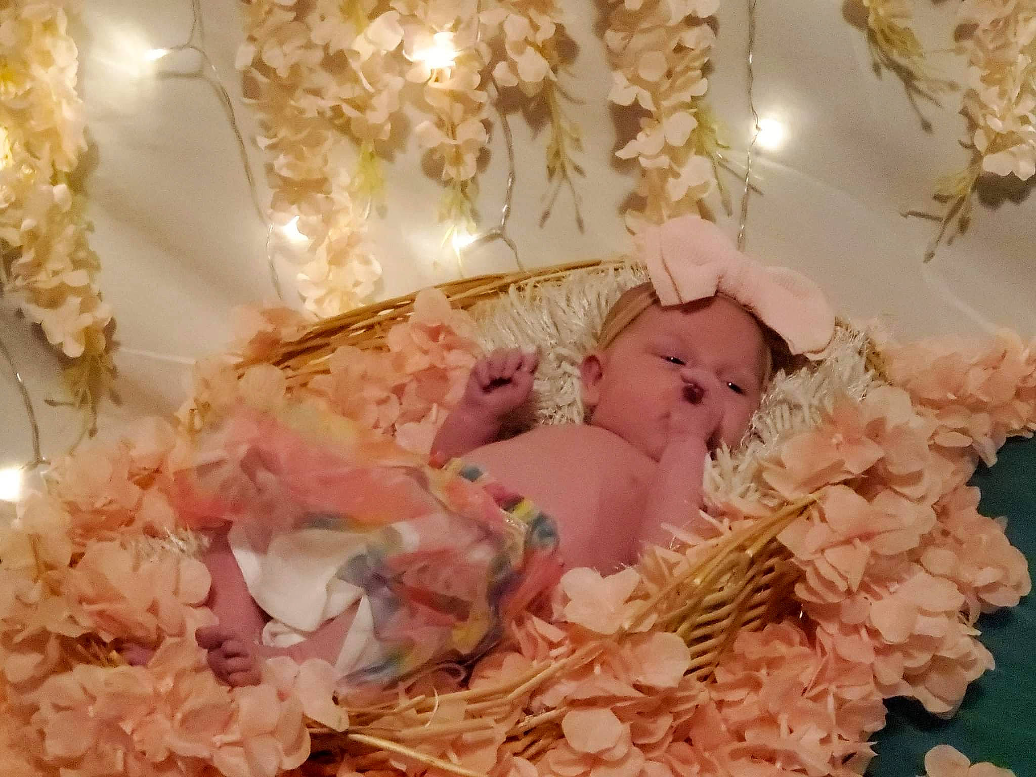 Paisleigh Marie Hack is registered to the contest to win money with this photo: artificial_flower, baby, blossom, bouquet, cut_flowers, event, fashion_accessory, floral_design, flower, flower_arranging, headpiece, linens, peach, person, petal, pink, plant, room, textile, twig