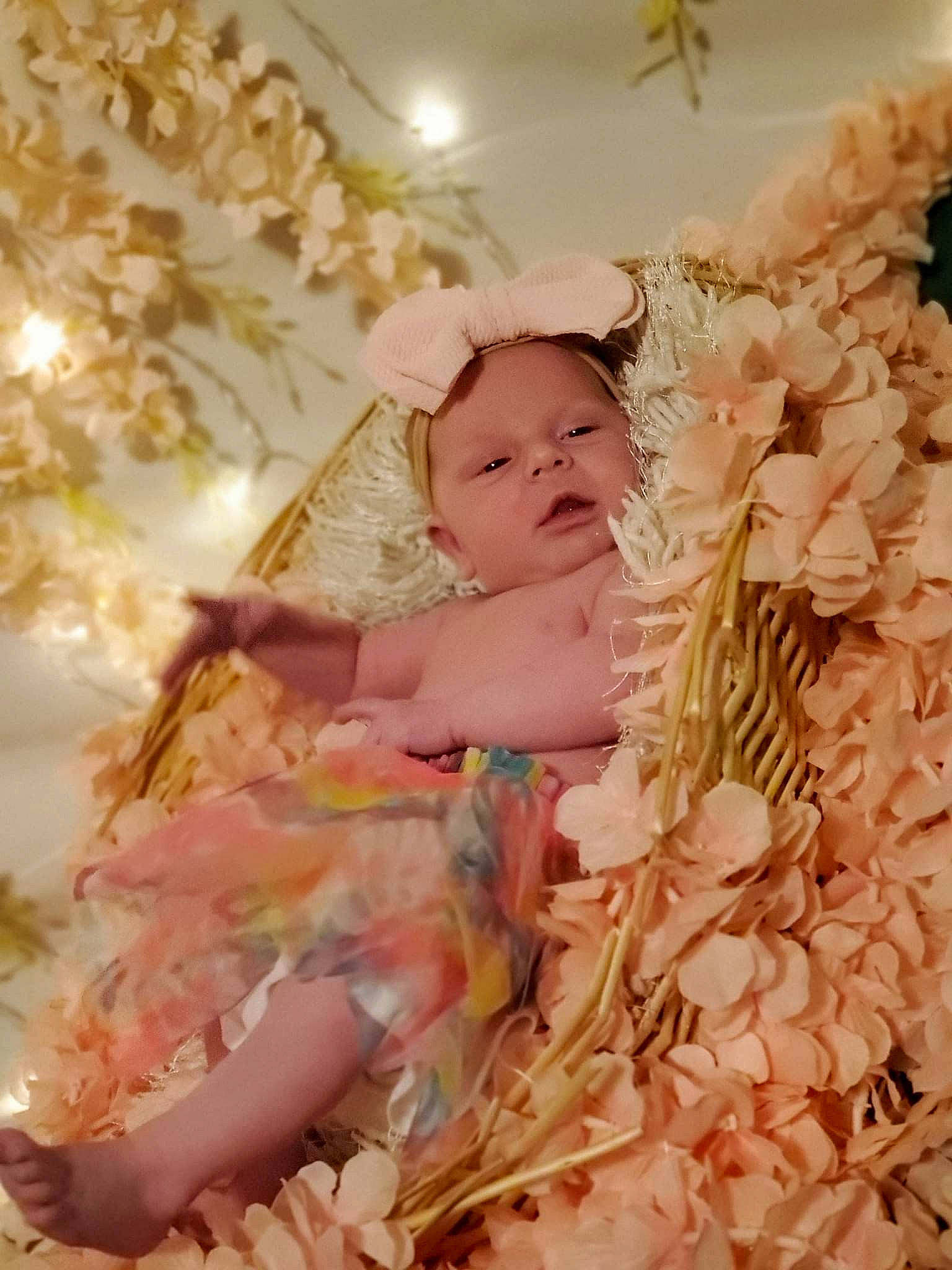 Paisleigh Marie Hack is registered to the contest to win money with this photo: baby, baby_toddler_clothing, bedding, child, comfort, floral_design, flower, flower_arranging, happy, linens, pattern, peach, people_in_nature, person, petal, pink, portrait_photography, room, thigh, toddler