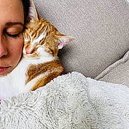 Aïko participe au concours pour gagner de l'argent avec cette photo : cat, person, closed_eyes, blanket, couch, snuggling, cozy, ginger_cat, white_fur, face, relaxation, indoor, comfort, soft_texture, nap, fur, human, nose_ring, peaceful, resting