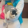 Willow is registered to the contest to win money with this photo: cat, kitten, bunny, mascot, costume, plush, animal, pet, furry, white, gray, black, pink, blue, yellow, carried, sitting, indoor, portrait, funny