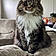 Binx