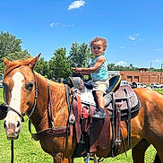 Liam is registered to the contest to win money with this photo: child, toddler, horse, saddle, grass, outdoor, sky, cloud, tree, building, vehicle, fence, sunny, daytime, animal, equine, person, footwear, clothing, nature