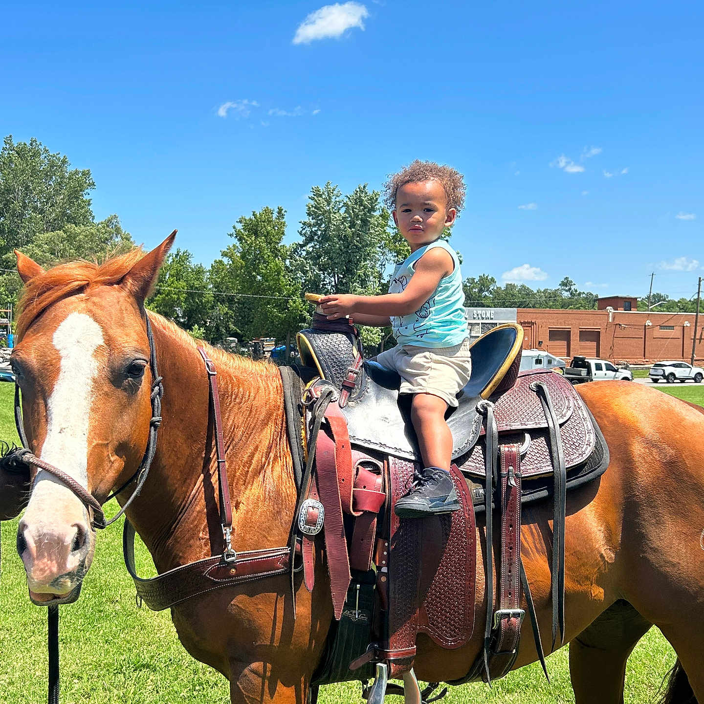 Liam is registered to the contest to win money with this photo: animal, building, child, clothing, cloud, daytime, equine, fence, footwear, grass, horse, nature, outdoor, person, saddle, sky, sunny, toddler, tree, vehicle