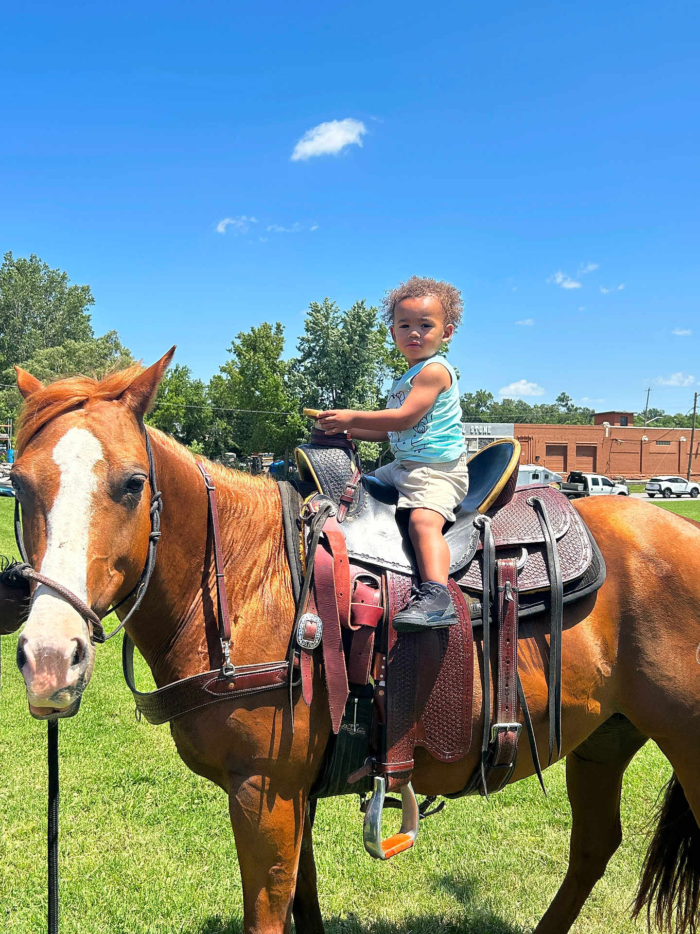 Liam is registered to the contest to win money with this photo: child, toddler, horse, saddle, grass, outdoor, sky, cloud, tree, building, vehicle, fence, sunny, daytime, animal, equine, person, footwear, clothing, nature
