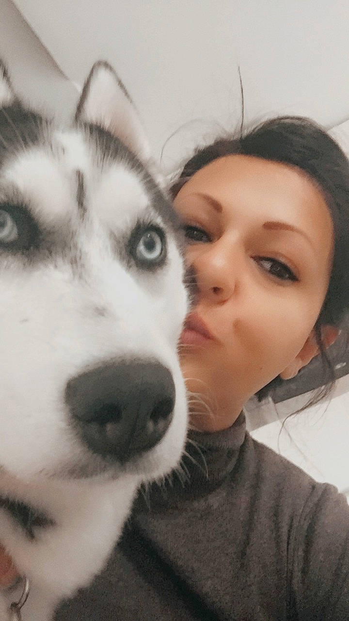 Laska a rejoint le concours — aidez-le/la à gagner de superbes lots ! beauty, canidae, canis, carnivore, companion_dog, dog, dog_breed, eyelash, fur, happy, jaw, nose, selfie, siberian_husky, sled_dog, snout, sporting_group, whiskers, wolf, working_animal