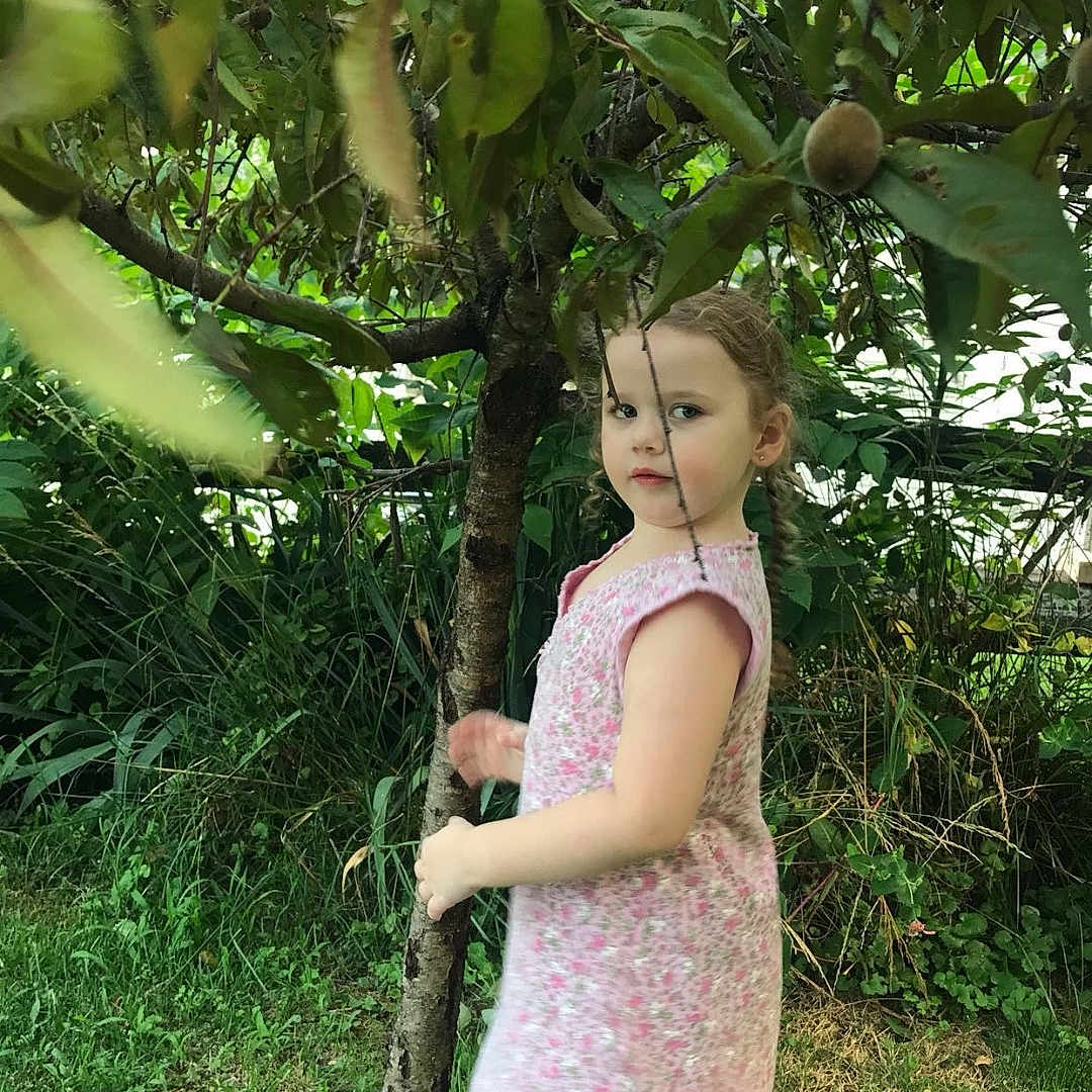 Scarlett is registered to the contest to win money with this photo: child, clothing, dress, face, grass, green, grove, head, herbal, herbs, land, nature, outdoors, person, photography, plant, portrait, tree, vegetation, woodland
