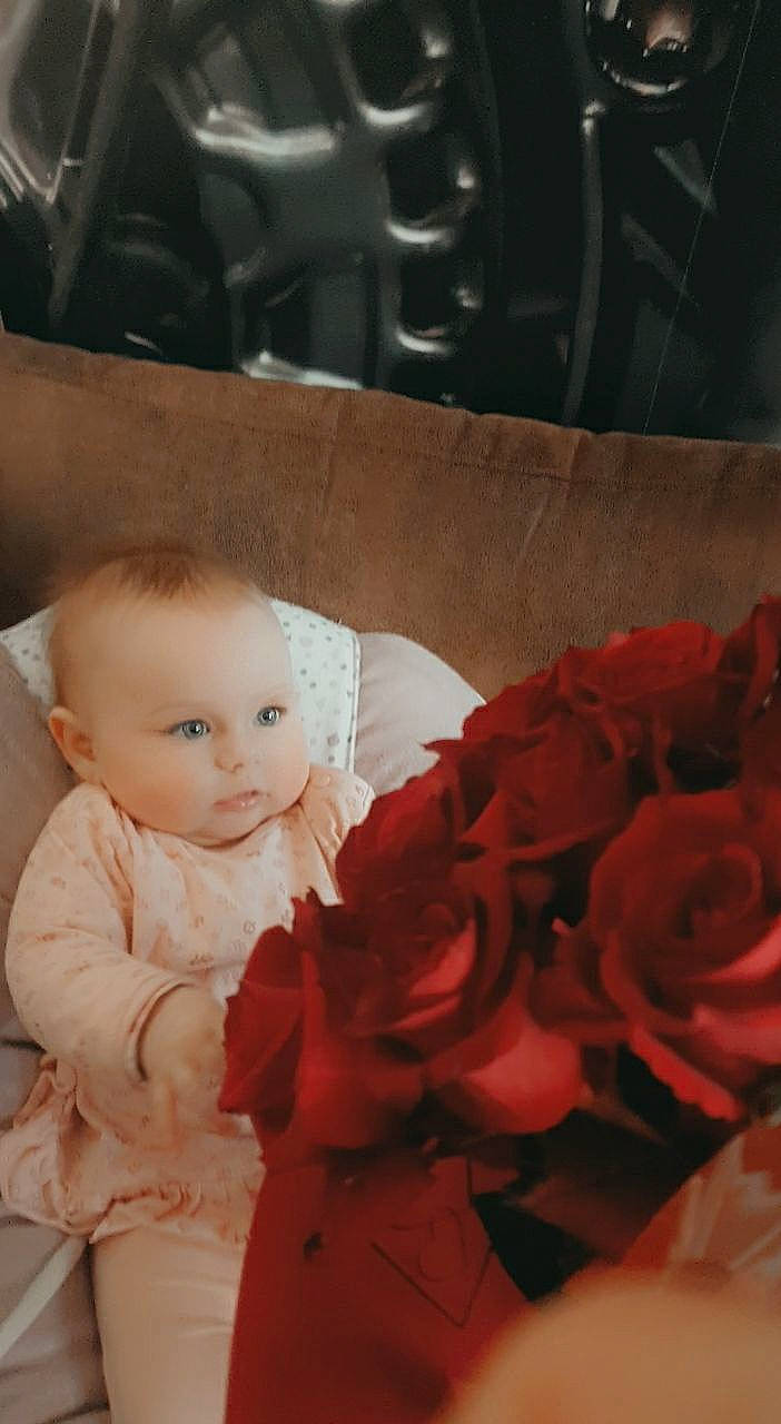 Victory a rejoint le concours — aidez-le/la à gagner de superbes lots ! artificial_flower, beauty, doll, dress, event, flower, flower_arranging, hand, happy, hybrid_tea_rose, person, petal, pink, plant, rose, rose_family, rose_order, textile, toddler, toy